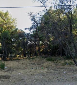 Οικόπεδο 1.015 τ.μ. προς πώληση