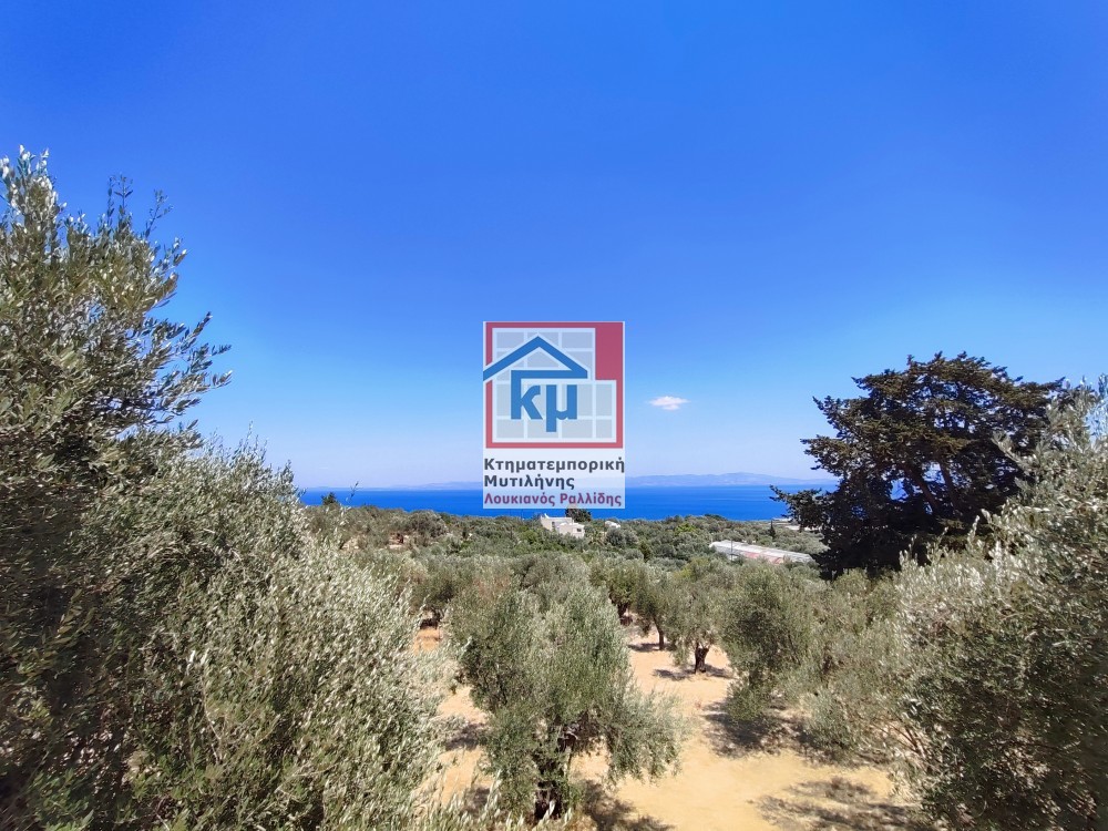 Οικόπεδο 1.436 τ.μ. πρός πώληση, Ν. Λέσβου, Λέσβος - Μυτιλήνη