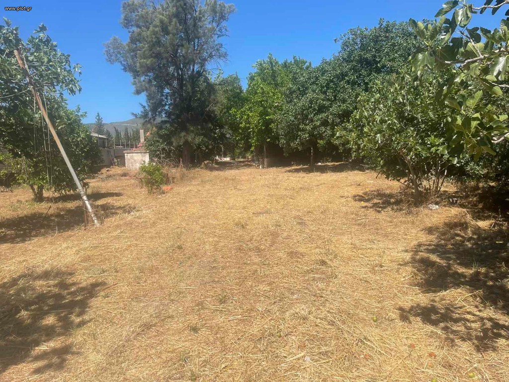 Επιχειρηματικό κτίριο 8.250 τ.μ. πρός πώληση, Αθήνα - Ανατολικά Προάστια, Παλλήνη