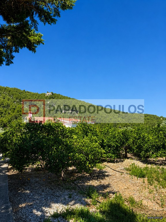 Μεζονέτα 100 τ.μ. προς πώληση, Αθήνα - Ανατολικά Προάστια, Μαραθώνας