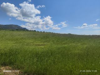 Αγροτεμάχια 5.500 τ.μ. για πώληση, Ν. Καβάλας, Ορφανό-thumb-1