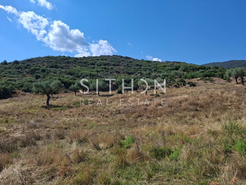 Αγροτεμάχια 425 τ.μ. προς πώληση, Παραλία Συκιάς