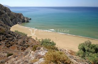 Αγροτεμάχια 100.000 τ.μ. για πώληση