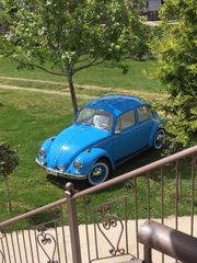 Volkswagen Beetle 1968 Volkswagen Beetle 68”-thumb-15