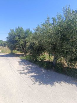 Land plot 195 sqm for sale