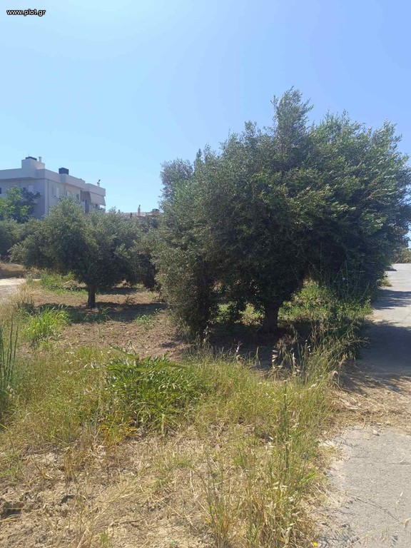 Οικόπεδο 195 τ.μ. προς πώληση, Σκαφιδαράς