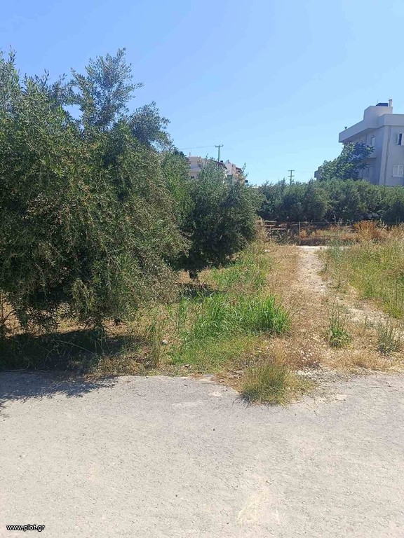 Οικόπεδο 195 τ.μ. προς πώληση, Σκαφιδαράς