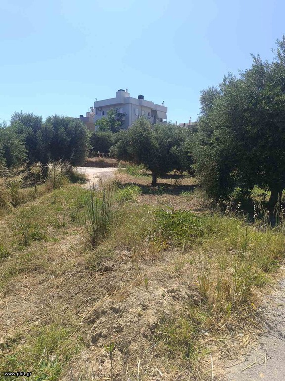 Οικόπεδο 195 τ.μ. προς πώληση, Σκαφιδαράς