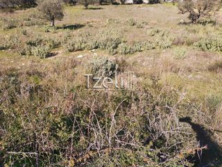 Οικόπεδο 1.145 τ.μ. για πώληση