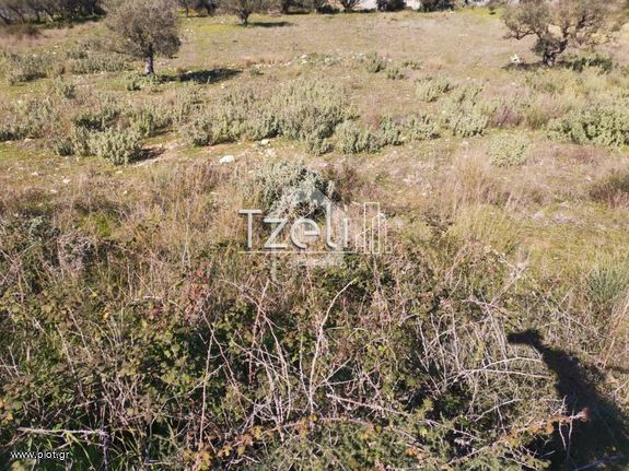 Οικόπεδο 1.145 τ.μ. για πώληση, Αργολίδα, Κρανίδι