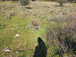Οικόπεδο 1.145 τ.μ. για πώληση, Αργολίδα, Κρανίδι-thumb-1