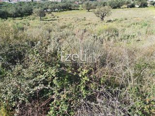 Οικόπεδο 1.145 τ.μ. για πώληση, Αργολίδα, Κρανίδι-thumb-4