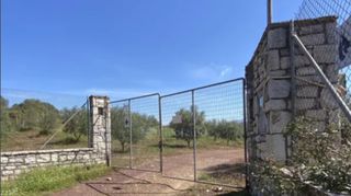 Αγροτεμάχια 76.026 τ.μ. για πώληση, Μεσσηνία, Ιθώμης-thumb-5