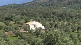 Αγροτεμάχια 76.026 τ.μ. για πώληση, Μεσσηνία, Ιθώμης-thumb-7