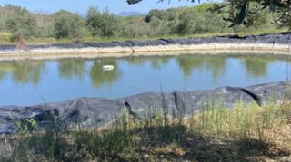 Αγροτεμάχια 76.026 τ.μ. για πώληση, Μεσσηνία, Ιθώμης-thumb-3