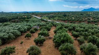 Οικόπεδο 14.783 τ.μ. πρός πώληση, Μεσσηνία, Χιλιοχώρια-thumb-13