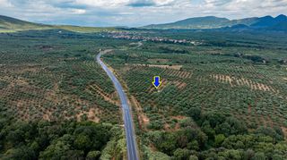 Οικόπεδο 14.783 τ.μ. πρός πώληση, Μεσσηνία, Χιλιοχώρια-thumb-1