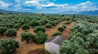Οικόπεδο 14.783 τ.μ. πρός πώληση, Μεσσηνία, Χιλιοχώρια-thumb-10