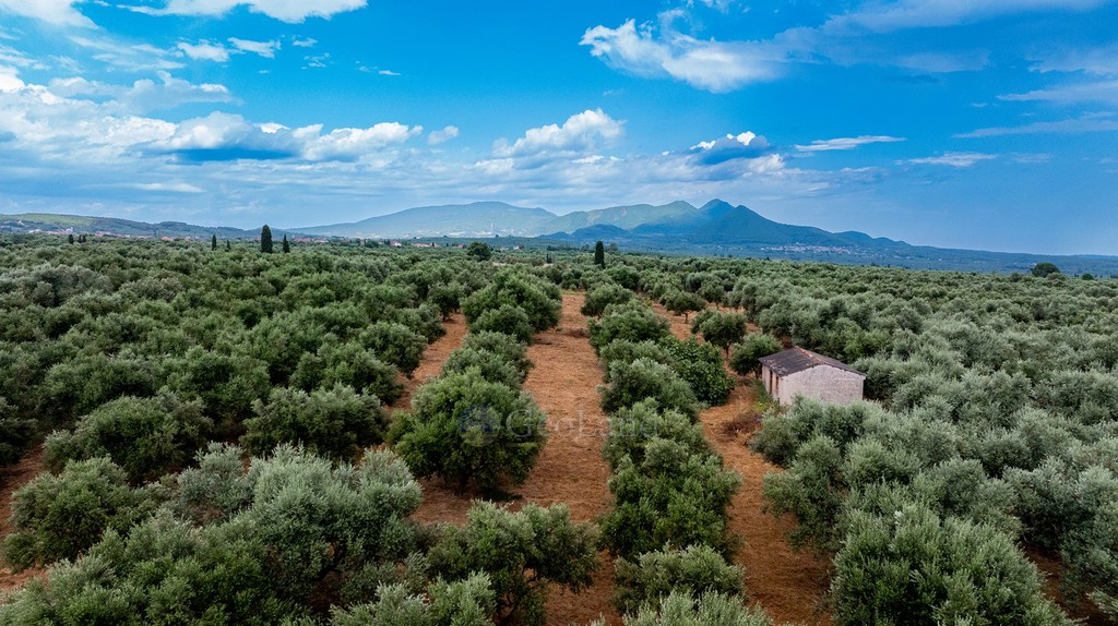 Οικόπεδο 14.783 τ.μ. πρός πώληση, Μεσσηνία, Χιλιοχώρια
