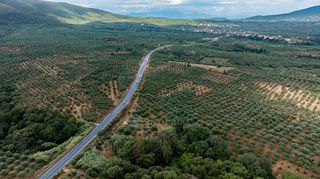Οικόπεδο 14.783 τ.μ. πρός πώληση, Μεσσηνία, Χιλιοχώρια-thumb-11