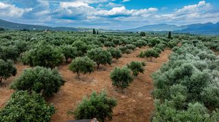 Οικόπεδο 14.783 τ.μ. πρός πώληση, Μεσσηνία, Χιλιοχώρια-thumb-15