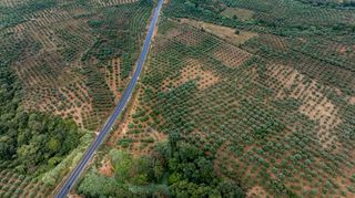 Οικόπεδο 14.783 τ.μ. πρός πώληση, Μεσσηνία, Χιλιοχώρια-thumb-21