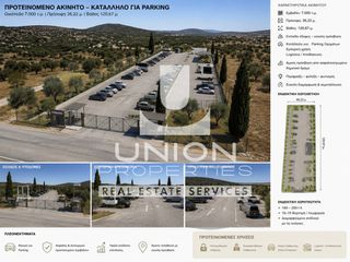 Αγροτεμάχια 7.000 τ.μ. για ενοικίαση