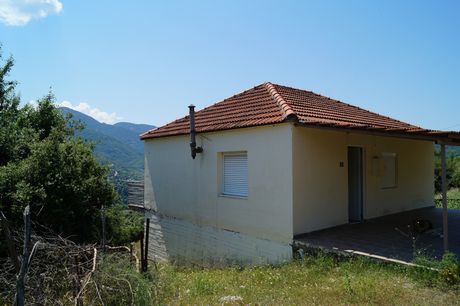 Μονοκατοικία 5.500 τ.μ. προς πώληση