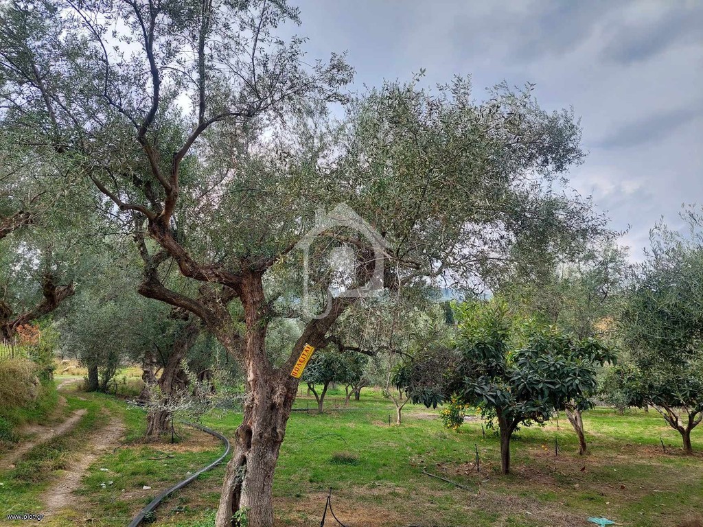 Άλλο 1 τ.μ. για πώληση, Αχαΐα, Αιγείρα