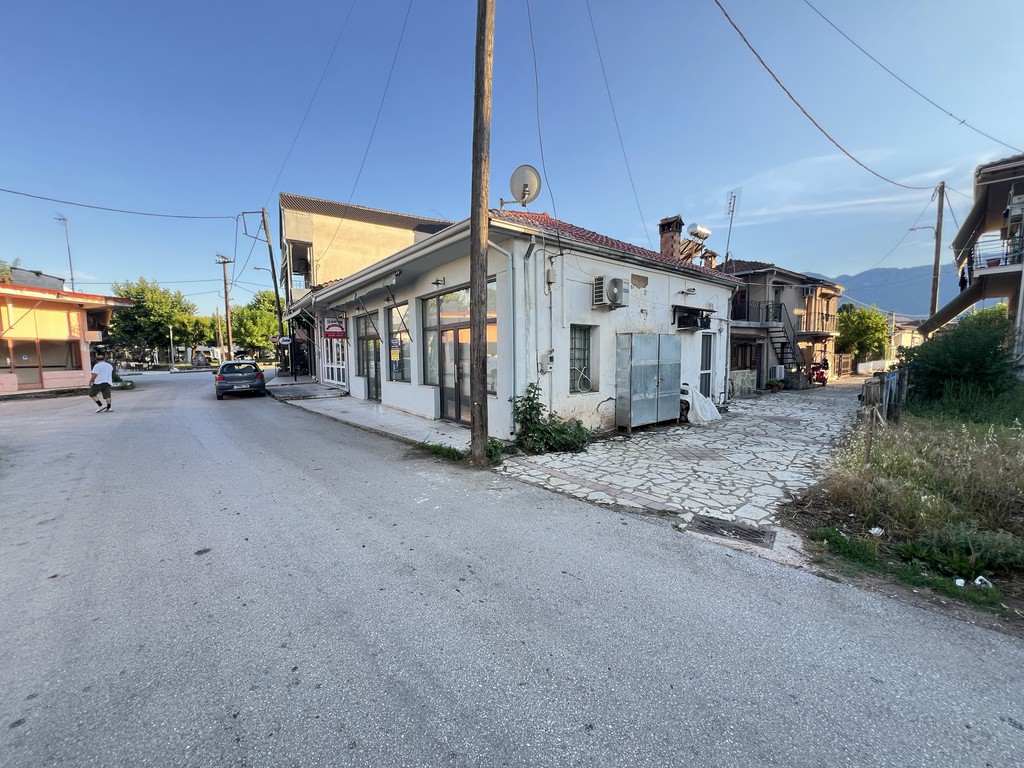 Κατάστημα 88 τ.μ. πρός πώληση, Ν. Τρικάλων, Πιάλεια