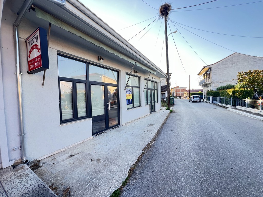 Κατάστημα 88 τ.μ. πρός πώληση, Ν. Τρικάλων, Πιάλεια