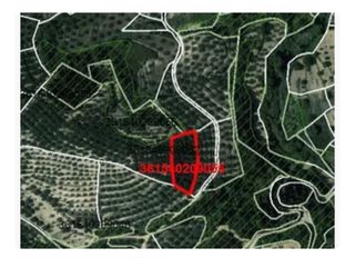 Αγροτεμάχια 2.000 τ.μ. για πώληση