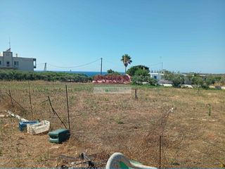 Οικόπεδο 4.250 τ.μ. για πώληση