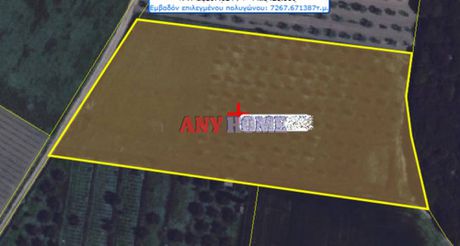 Αγροτεμάχια 6.937 τ.μ. προς πώληση