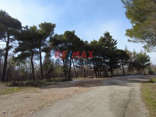 Οικόπεδο 440 τ.μ. προς ενοικίαση, Κέντρο Γέρακα-thumb-6