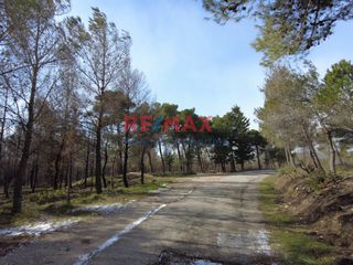 Οικόπεδο 440 τ.μ. προς ενοικίαση, Κέντρο Γέρακα-thumb-5