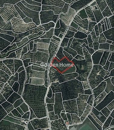 Οικόπεδο 6.492 τ.μ. για πώληση, Μεσσηνία, Ανδρούσα