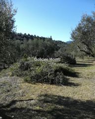 Οικόπεδο 18.205 τ.μ. για πώληση, Μεσσηνία, Ανδρούσα-thumb-3