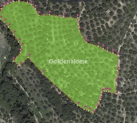 Οικόπεδο 18.205 τ.μ. για πώληση