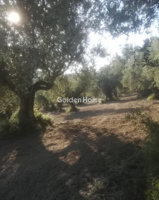 Οικόπεδο 18.205 τ.μ. προς πώληση, Κέντρο Ανδρούσας
