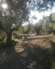 Οικόπεδο 18.205 τ.μ. για πώληση, Μεσσηνία, Ανδρούσα-thumb-2