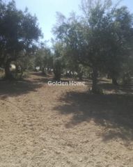 Οικόπεδο 18.205 τ.μ. για πώληση, Μεσσηνία, Ανδρούσα-thumb-1