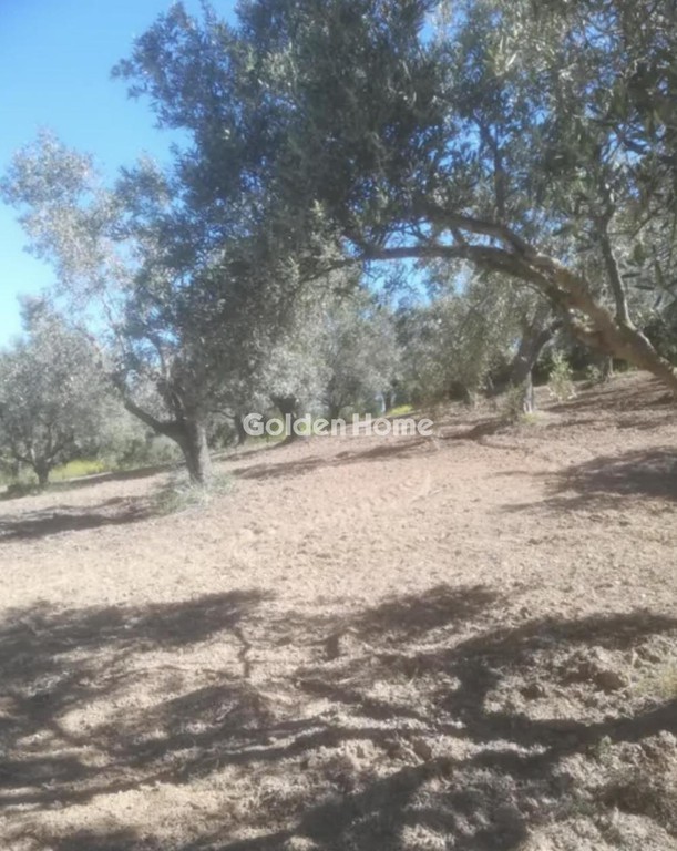 Οικόπεδο 18.205 τ.μ. προς πώληση, Κέντρο Ανδρούσας