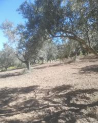 Οικόπεδο 18.205 τ.μ. για πώληση, Μεσσηνία, Ανδρούσα-thumb-4