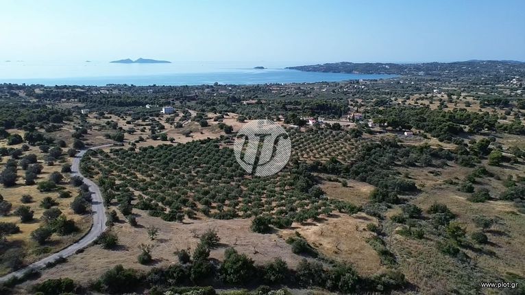 Οικόπεδο 25.227 τ.μ. για πώληση, Αργολίδα, Κρανίδι