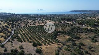 Οικόπεδο 25.227 τ.μ. για πώληση, Αργολίδα, Κρανίδι-thumb-3