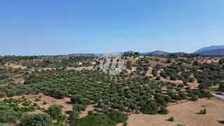 Οικόπεδο 25.227 τ.μ. για πώληση, Αργολίδα, Κρανίδι-thumb-4