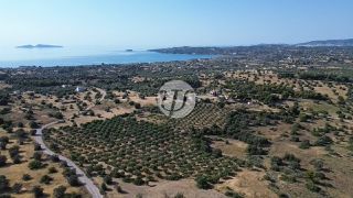 Οικόπεδο 25.227 τ.μ. για πώληση, Αργολίδα, Κρανίδι-thumb-6