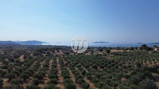 Οικόπεδο 25.227 τ.μ. για πώληση, Αργολίδα, Κρανίδι-thumb-7