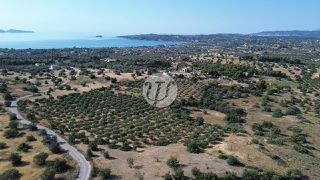 Οικόπεδο 25.227 τ.μ. για πώληση, Αργολίδα, Κρανίδι-thumb-8